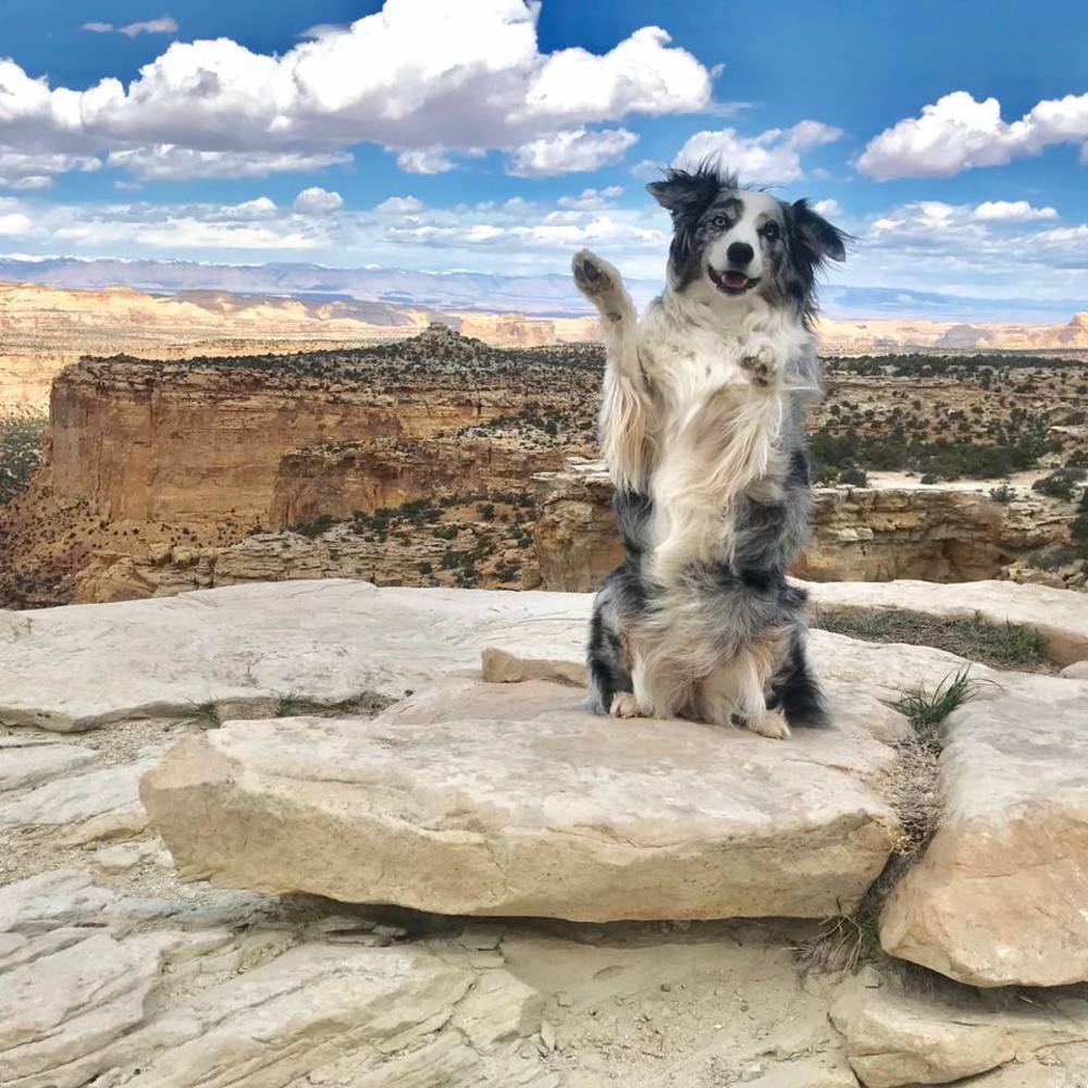 Meet your Posher, Suzanne